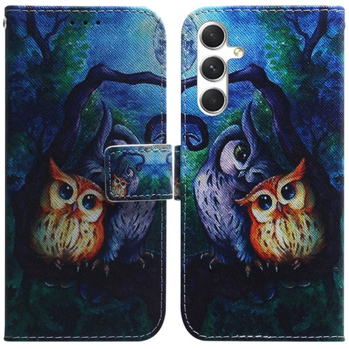 Samsung Galaxy S24 5G Coloured Drawing Flip Leather Phone Case - Oil Painting Owl