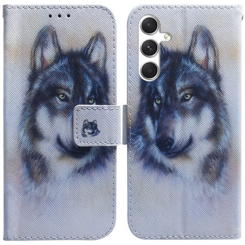 Samsung Galaxy S24 5G Coloured Drawing Flip Leather Phone Case - White Wolf