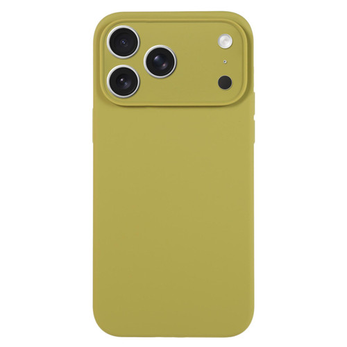 iPhone 17 Pro Pure Color Liquid Silicone Fine Pore Phone Case - Willow Green