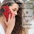 iPhone 17 Double Buckle Card Slots Magnetic Phone Case - Red