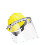 Head & Face Protection