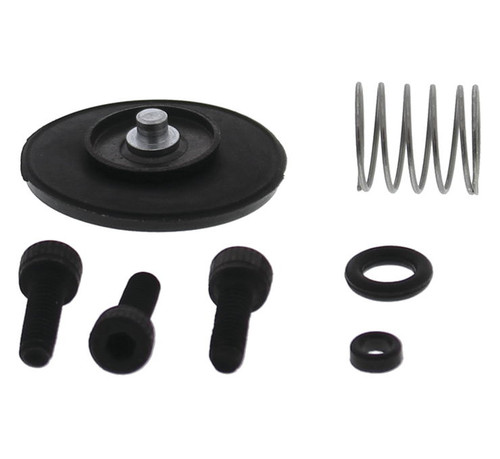 QuadBoss Accelerator Pump Kit 53463011