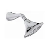 ชุดหัวฝักบัวก้านแข็ง รุ่นฟีเนียล KOHLER Finial K-98459X-AK-CP