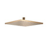 หัวฝักบัวสีทอง ก้านแข็งทรงเหลี่ยม 10" รุ่นคอนเทมโพรารี่ KOHLER Contemporary K-18361X-CL-BV