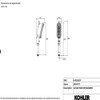 หัวฝักบัวสำหรับสัตว์เลี้ยง รุ่นสเปซซิตี้ KOHLER Spacity K-R33033T-WPT