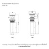 สะดืออ่างล้างหน้าแบบกดØ60 KOHLER K-7119T-AF