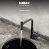 ก๊อกอ่างล้างจาน แบบน้ำร้อน-น้ำเย็น รุ่นบีม KOHLER Beam K-39419T-4-BGM