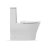 สุขภัณฑ์ แบบชิ้นเดียว รุ่นแฟมิลี่แคร์ KOHLER Family Care K-23188X-CCT-0