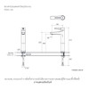 ก๊อกอ่างล้างหน้า แบบน้ำเย็นทรงสูง รุ่นทอธ KOHLER Taut K-74026X-4ACD-CP