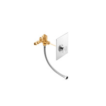 ฟลัชวาล์ว สำหรับโถปัสสาวะชาย รุ่นบีม (1 ลิตร) KOHLER Beam K-77692X-G ฟลัชวาล์ว สำหรับโถปัสสาวะชาย รุ่นบีม (1 ลิตร) KOHLER Beam K-77692X-G