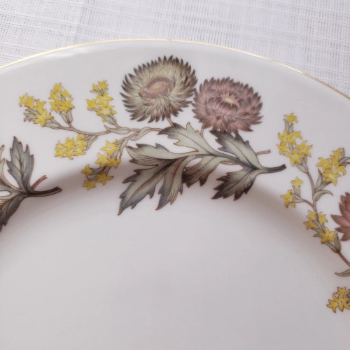 8" WEDGWOOD Lichfield Salad Plate