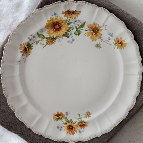 Thompson Trent Yellow Flowers Brushed Gold Trim Dinner Plate