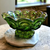 7" Smith Glass Moon and Star Green Round Compote