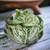 Holland Mold Ceramic Cabbage Bowl Server with Lid