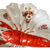 Floral  Double-Sided Porcelain Painted Red lobster Handle Serving Dish Germany