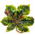 Jay Strongwater Enamel Painted Leaf Tray