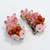 Hobe Rose Crystal Cluster and Coral Bead Clip On Earrings and Infinity Bracelet