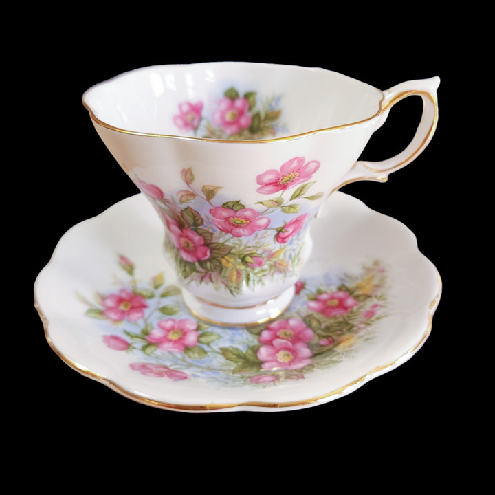 Royal Albert Sunnyside Series Petula Footed Cup & Saucer Set