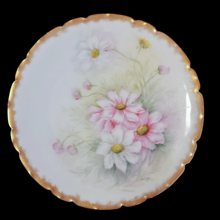 PT Bavaria Porcelain Hand Painted Floral Pattern Cabinet Plate Signed