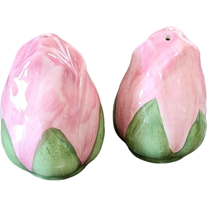 Franciscan Desert Rose Salt & Pepper Set