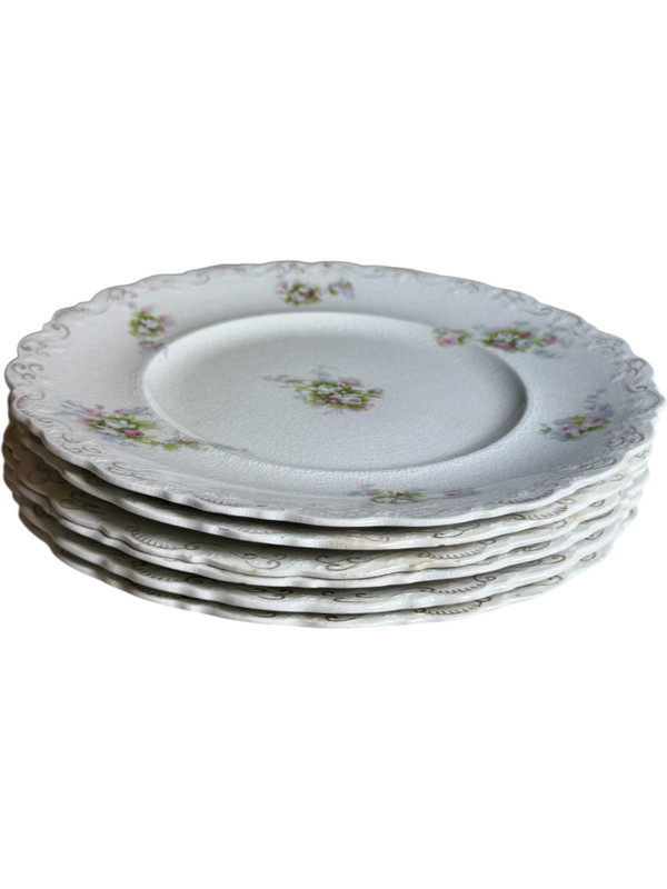 Set of 6 Antique J&G Meakin Hanley England Dinner Plates Floral Transferware with Scalloped Edge Early 1900s Ironstone