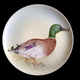 Holiday China V Hand Painted Duck Pattern Cabinet Plate  