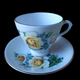 Roya Imperial Yellow Roses Off Center Gold Footed Teacup & Saucer Set