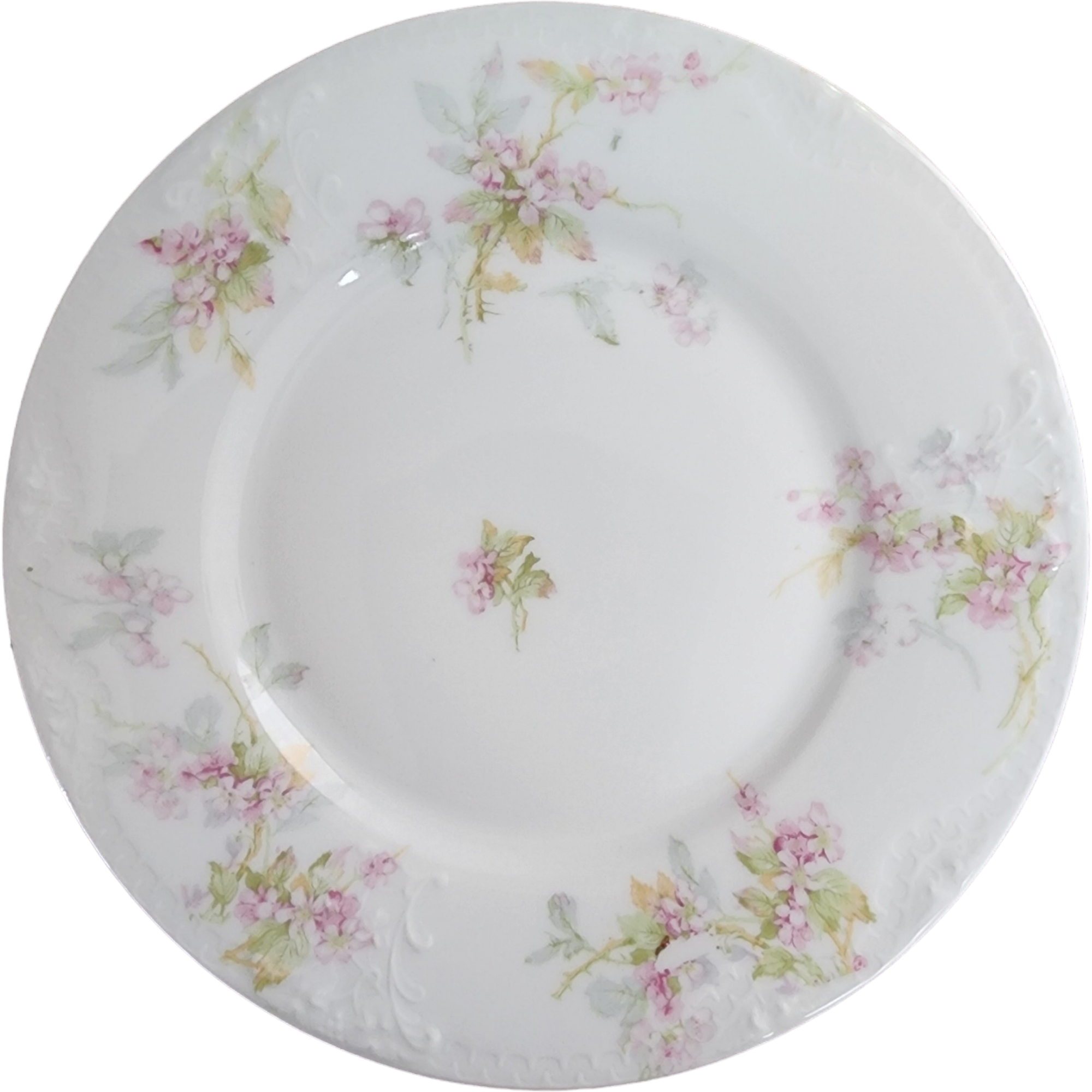 7_Haviland_Limoges_Schleiger_P