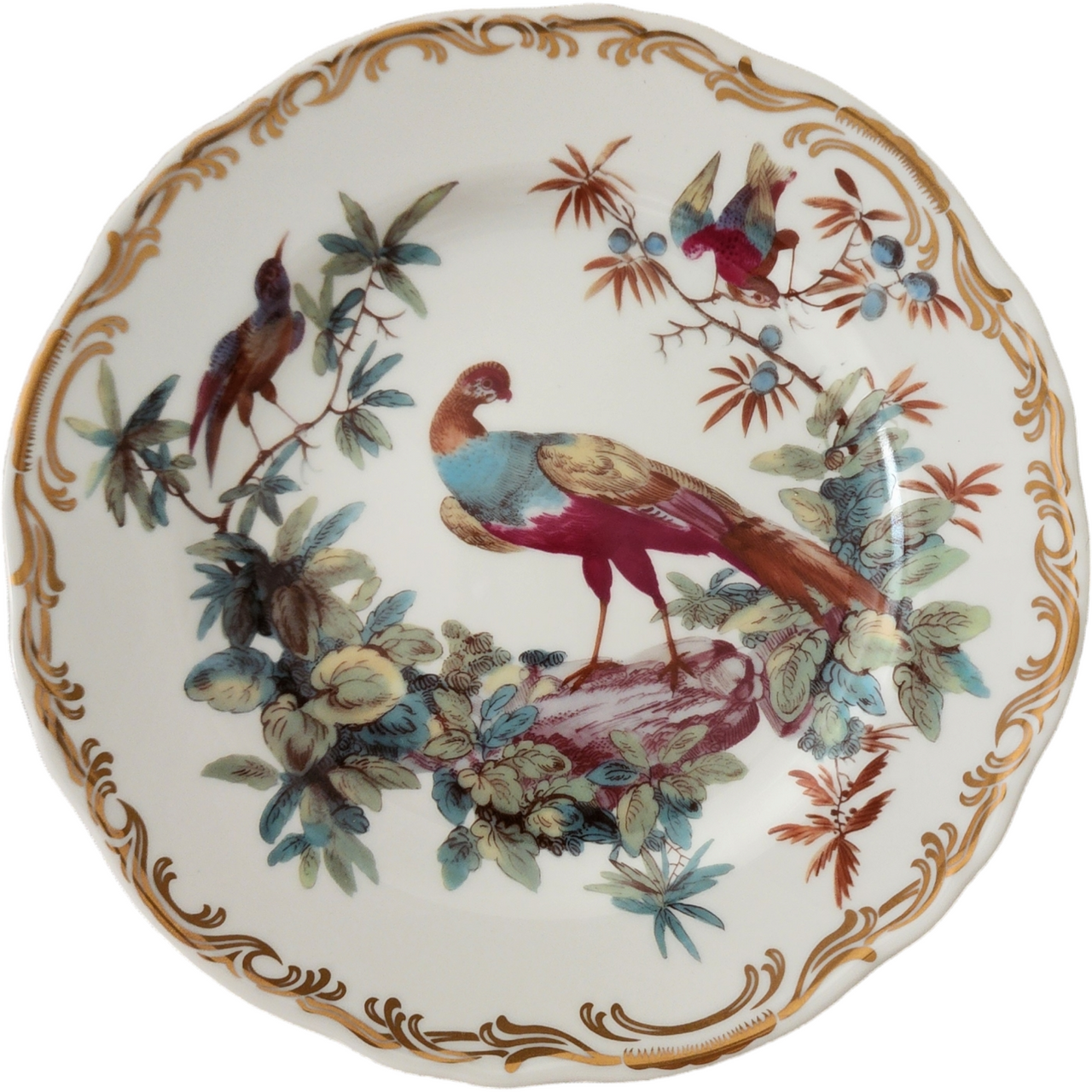 Andrea by Sadek Multicolor Exotic Birds Gold Scrolls Salad Dessert