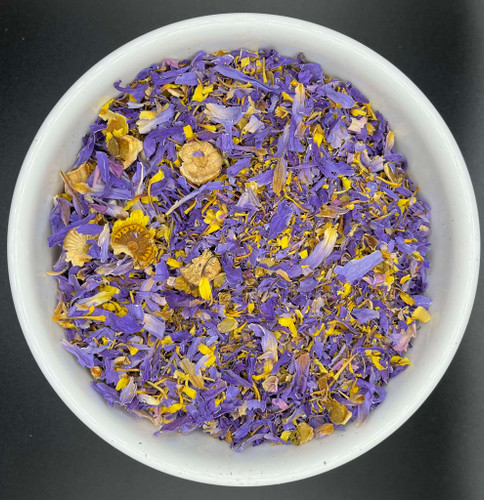 Blue Lotus　 Blue_lotus__45606.1725175132.