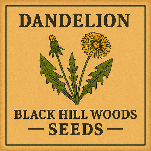 Dandelion Seeds - Bumble Bee Flowers