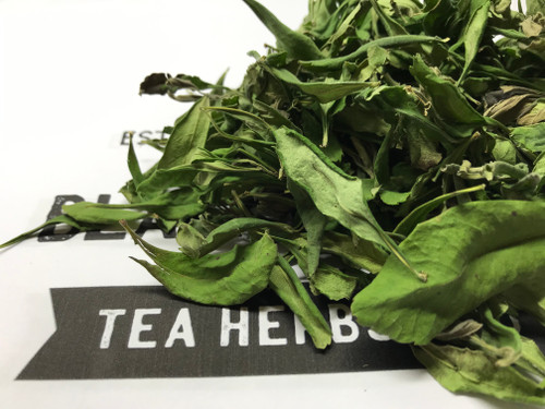 Dried Sweetgale (Myrica gale) - Buy Canada