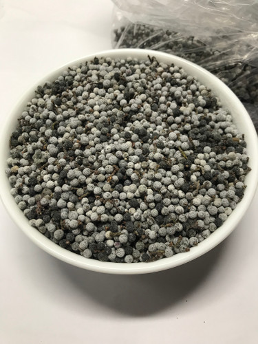 Northern Bayberries for sale - Black Hill Woods