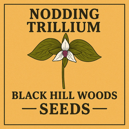 Nodding Trillium (Trillium cernuum) LIMITED STOCK