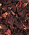 Hibiscus Flower - Dried - Black Hill Woods