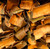 Birch Bark