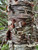 Birch Bark