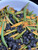 Blueberry Labrador Tea