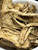 Angelica Root