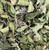 Wild Bergamot - Dried buy near me