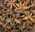 Star Anise