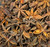 Star Anise