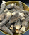 Black Morels