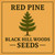 Red Pine Seeds