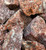Red Benzoin Resin (Styrax benzoin)