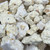 White Benzoin Resin (Styrax benzoin)