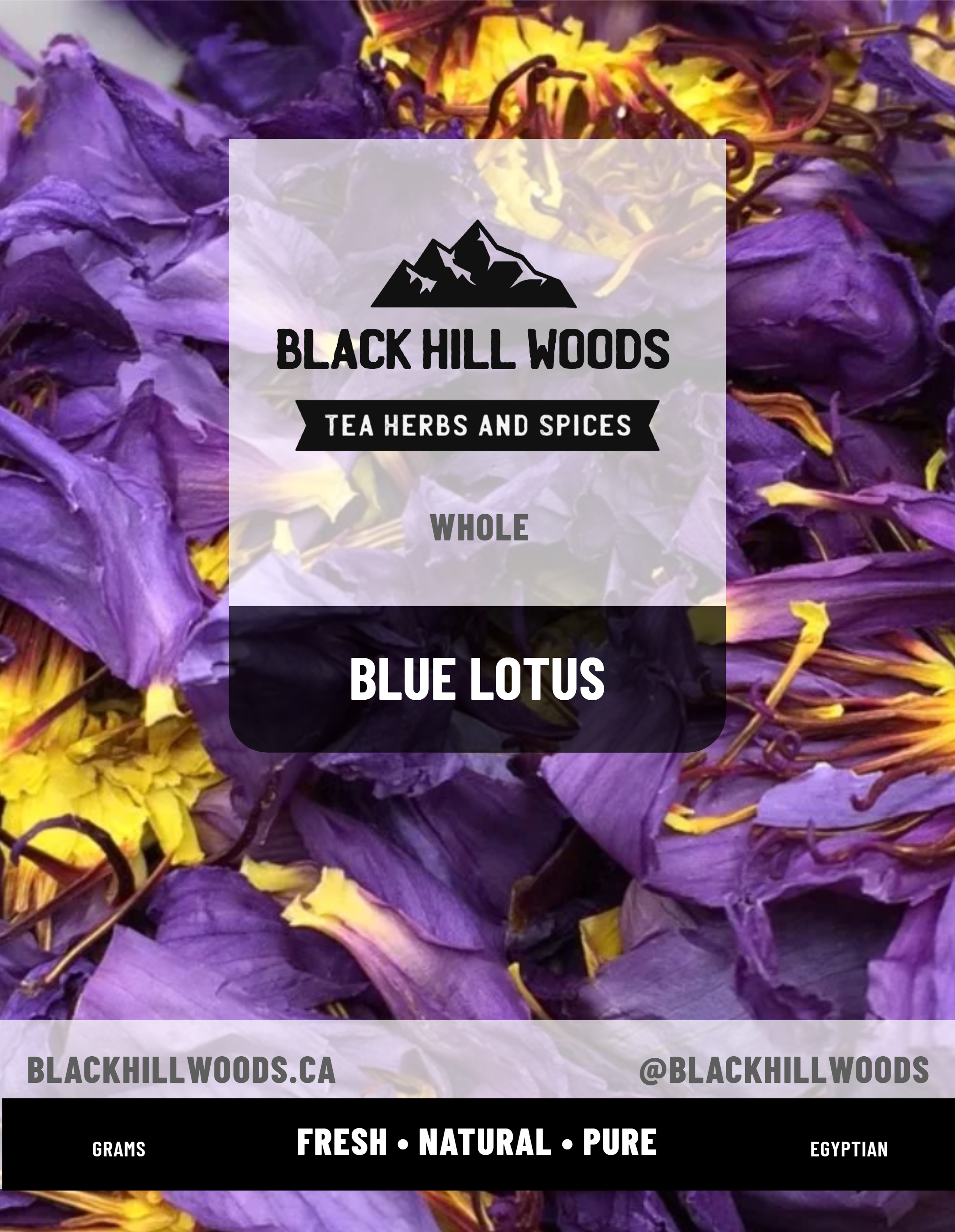 Blue Lotus　 Blue_lotus__45606.1725175132.