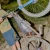 Botched Bikes Dragonfly - Stainless Steel - Pre-Order - Due Date.... TBC