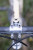 FORAGER CYCLES - Brass Quill Stem Cap FORAGER CYCLES - Brass Quill Stem Cap