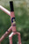 RUNE Knightwood Frameset - Pre-Order - ETA - Late August